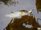 foto/diskuze/z_lovu/2008/th-img19251.jpg