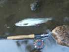 foto/diskuze/z_lovu/2008/th-img19257.jpg