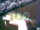 foto/diskuze/z_lovu/2008/th-img19505.jpg