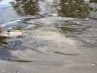 foto/diskuze/z_lovu/2008/th-img19535.jpg
