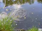 foto/diskuze/z_lovu/2008/th-img19701.jpg