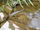 foto/diskuze/z_lovu/2008/th-img19759.jpg