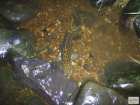 foto/diskuze/z_lovu/2008/th-img20064.jpg