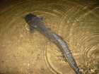 foto/diskuze/z_lovu/2008/th-img20075.jpg