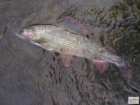 foto/diskuze/z_lovu/2008/th-img20079.jpg