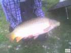 foto/diskuze/z_lovu/2008/th-img20086.jpg