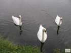 foto/diskuze/z_lovu/2008/th-img20362.jpg