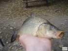 foto/diskuze/z_lovu/2008/th-img20366.jpg