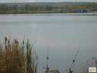 foto/diskuze/z_lovu/2008/th-img20399.jpg