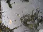 foto/diskuze/z_lovu/2008/th-img20448.jpg