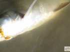foto/diskuze/z_lovu/2008/th-img20498.jpg