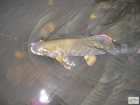 foto/diskuze/z_lovu/2008/th-img20565.jpg