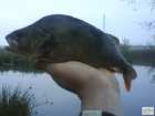 foto/diskuze/z_lovu/2008/th-img20611.jpg