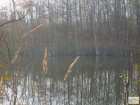 foto/diskuze/z_lovu/2008/th-img20620.jpg