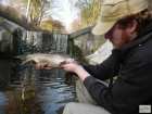 foto/diskuze/z_lovu/2008/th-img20622.jpg