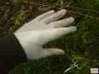 foto/diskuze/z_lovu/2008/th-img20627.jpg