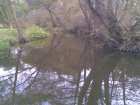 foto/diskuze/z_lovu/2008/th-img20702.jpg