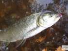 foto/diskuze/z_lovu/2008/th-img20777.jpg