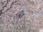 foto/diskuze/z_lovu/2008/th-img20795.jpg