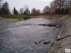 foto/diskuze/z_lovu/2008/th-img20811.jpg