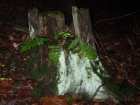foto/diskuze/z_lovu/2008/th-img20825.jpg