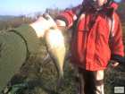 foto/diskuze/z_lovu/2008/th-img20891.jpg