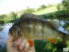 foto/diskuze/z_lovu/2008/th-img20954.jpg