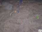 foto/diskuze/z_lovu/2008/th-img20982.jpg