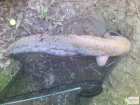 foto/diskuze/z_lovu/2008/th-img21209.jpg