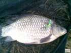 foto/diskuze/z_lovu/2008/th-img21389.jpg