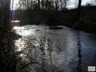 foto/diskuze/z_lovu/2008/th-img21408.jpg