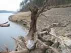 foto/diskuze/z_lovu/2008/th-img21543.jpg