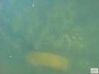 foto/diskuze/z_lovu/2008/th-img21649.jpg