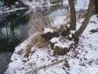 foto/diskuze/z_lovu/2009/th-img21903.jpg