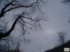 foto/diskuze/z_lovu/2009/th-img21904.jpg