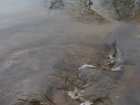 foto/diskuze/z_lovu/2009/th-img22276.jpg