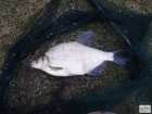 foto/diskuze/z_lovu/2009/th-img22285.jpg