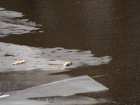 foto/diskuze/z_lovu/2009/th-img22376.jpg