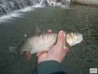 foto/diskuze/z_lovu/2009/th-img22404.jpg