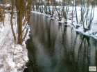 foto/diskuze/z_lovu/2009/th-img22479.jpg
