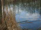 foto/diskuze/z_lovu/2009/th-img22556.jpg