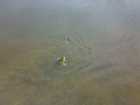 foto/diskuze/z_lovu/2009/th-img22739.jpg