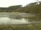foto/diskuze/z_lovu/2009/th-img22741.jpg