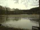 foto/diskuze/z_lovu/2009/th-img22743.jpg