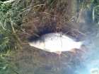 foto/diskuze/z_lovu/2009/th-img22754.jpg