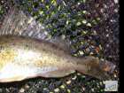 foto/diskuze/z_lovu/2009/th-img22758.jpg