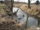 foto/diskuze/z_lovu/2009/th-img22818.jpg