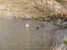 foto/diskuze/z_lovu/2009/th-img22902.jpg