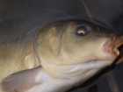 foto/diskuze/z_lovu/2009/th-img22904.jpg