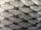foto/diskuze/z_lovu/2009/th-img22966.jpg